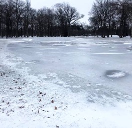 ice on putting green