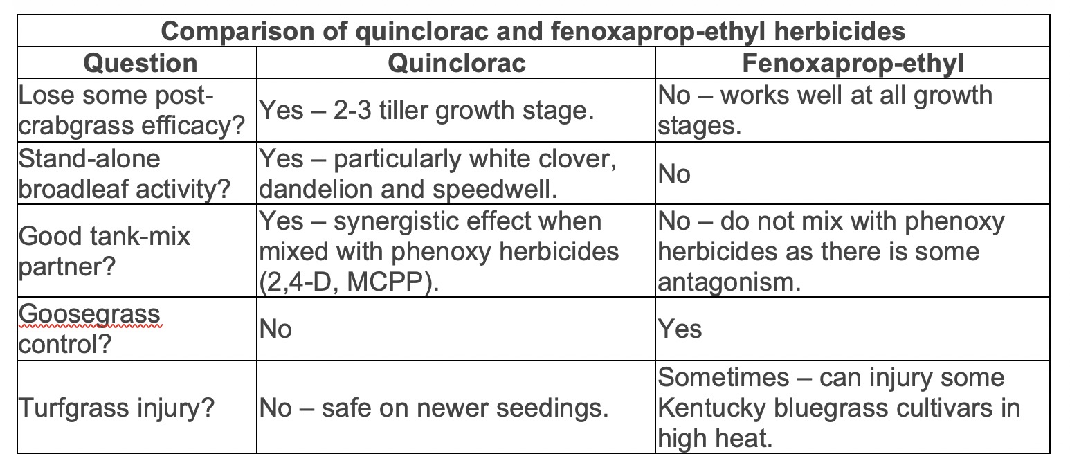 Comparison of quinclorac and fenoxaprop-ethyl herbicides